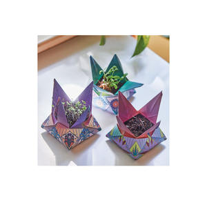 Kits cosmiques Pack cadeau intérieur maison jardin se connecter au <span class=keywords><strong>cosmos</strong></span> en faisant pousser une fleur signe du zodiaque conception de pays utilisation au sol - Product Image 1