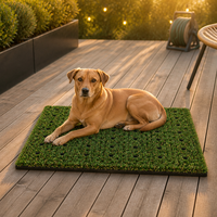 Gazon artificiel pour animaux de compagnie, tapis synthétique durable pour chien avec drainage, idéal pour l'hygiène des animaux, la cour et le chenil