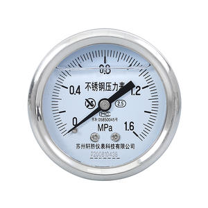 Manómetro de Acero Inoxidable Suzhou XuanSheng de 60 mm, Analógico, de 0 a 1.6 MPa, Conexión Roscada para Uso Industrial - Product Image 1
