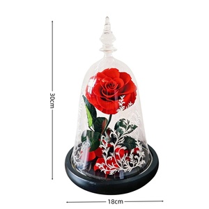 <span class=keywords><strong>Cloche</strong></span> en verre 18x30cm avec <span class=keywords><strong>rose</strong></span> éternelle gravée sous <span class=keywords><strong>cloche</strong></span> <span class=keywords><strong>et</strong></span> base noire, <span class=keywords><strong>rose</strong></span> rouge, cadeau pour <span class=keywords><strong>la</strong></span> Saint-Valentin, Noël - Product Image 6