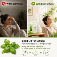 Huile Essentielle de Basilic Doux Aromatique Ocimum Basilicum pour Formulation de Parfums, Marque Privée, OEM, ODM, Vente en Gros, Approvisionnement en Vrac, USDA