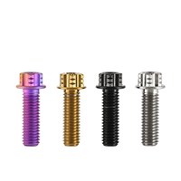M5 M6 M8 M10 Vélos Motos Voitures Modification Tc4 Alliage de Titane CNC Vis Hex Torx Bride Tête Titane Boulons Vis