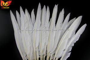 Оптовая продажа с завода ZPDECOR, дешевый запас белых уток 30-35 см, указка, перья крыла для тринидада, карнавальных костюмов - Product Image 2