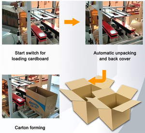 Automatic High Speed Vertical Carton Erector Packaging Equipment - Product Image 5