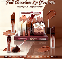 Brillant à lèvres chocolat en gros, hydratant, scintillant, non collant, effet miroir, maquillage des lèvres, gloss beauté, marque privée