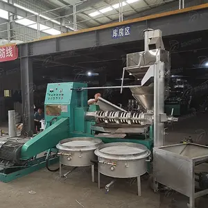 1000kg Per Hour Cold Press Avocado Copra Sunflower Seed Oil Press Machine