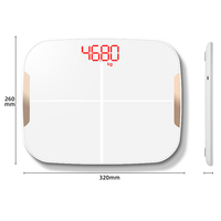 BL-3002 Shopee vente grande taille LED d'alimentation USB personnel intelligent échelle de graisse corporelle