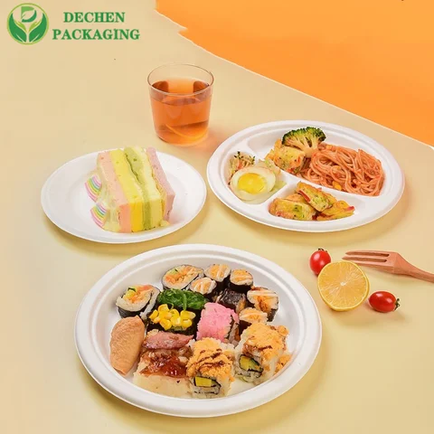 Square Disposable Plates White Plastic Sugar Cane Pulp