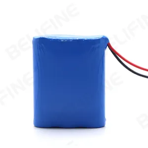 Rechargeable Lithium Li-ion Battery Pack For 18650 7S2P 25.2V 4000mAh