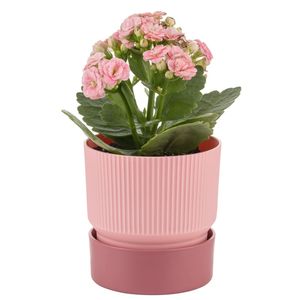 Ixora 15, maceta moderna de plástico reciclado, bandeja para interior y exterior, jardín, balcón, Patio, decoración de ventanas - Product Image 5