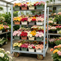 Chariot de présentation de fleurs à 3 niveaux en métal galvanisé pour serre, centre de jardinage, pépinière, présentation en magasin