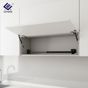 Pistón de Resorte de Gas Cilíndrico Negro Personalizado de Fábrica con Varilla de Acero Inoxidable, Capacidad de Carga de 50 lb, Carrera de 30-500 mm para Gabinetes - Product Image 1