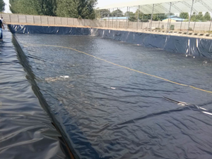 Géomembrane robuste imperméable en HDPE/LDPE pour revêtement de barrage et bassin de pisciculture, très demandée en Afrique - Product Image 3