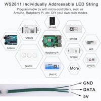 Grün-Schwarzer Draht Volle Traumfarbe LED-Lichterkette WS2811 RGBIC Individuell Adressierbar 5V zur Weihnachtsbaum-Dekoration