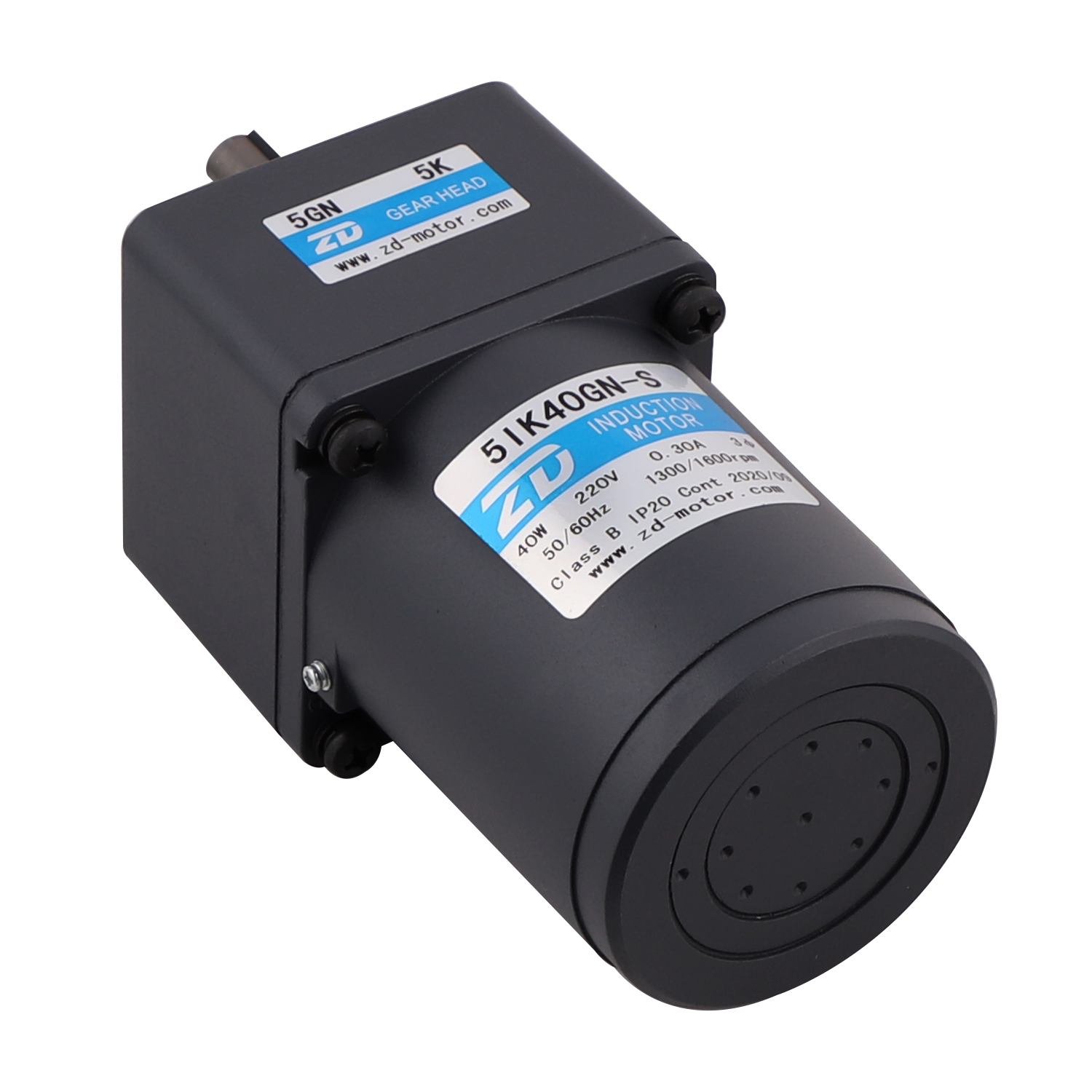 真人M5 F1 FV AC ZD Motor 90mm 40W AC Induction Motor - Single Phase