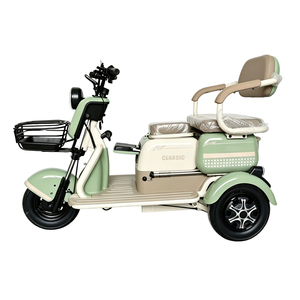 Fabricant chinois fournit des voitures électriques à trois roues les plus vendues pour les particuliers - Product Image 2