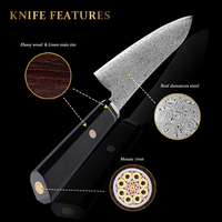 Ensemble de couteaux de chef professionnels japonais en acier carbone Damas, Kiritsuke, Bunka, Nakiri, couteaux utilitaires, manche épais en ébène antidérapant