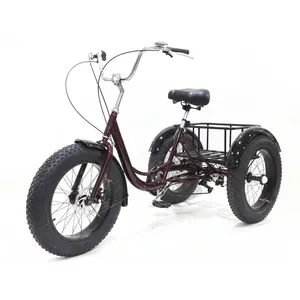 18Ah 750w Motor Elektro Trike Fett Reifen 3 Rad Elektro fahrrad Erwachsene Elektro Dreiräder