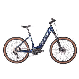 Hot New <span class=keywords><strong>2023</strong></span> vert ville électrique e vélo vélo électrique vélo de ville électrique 48v 250w pour hommes et femmes - Product Image 1