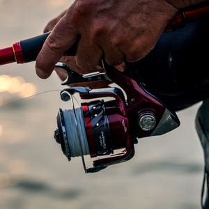 Carrete de Pesca Giratorio SHIMANO BB-X REMARE Freestyle, Resistente al Agua, con Sistema HAGANE Gearing, Fuerza de Frenado de 11 kg, para Pesca en Alta Mar y en Roca - Product Image 5