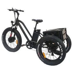 Электрический трехколесный велосипед для грузовых и пассажирских грузов, электрический трицикл, Филиппинский Электрический трехколесный велосипед, электрический трехколесный велосипед