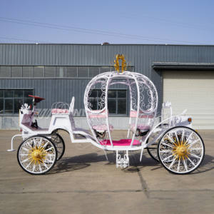 Chariot de luxe en forme de citrouille de Cendrillon, fait main, vintage, électrique, couleur personnalisable, capacité 6 personnes, garantie 2 ans, à <span class=keywords><strong>louer</strong></span> - Product Image 3