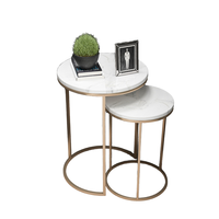 Premium Modernes Edelstahl-Couchtisch-Set mit Verstellbarer Höhe, Tragbarem Design, Umweltfreundlicher Holzplatte und Korrosionsschutz-Beschichtung