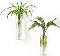 Kits de terrariums en verre borosilicate écologiques personnalisés, ensemble de jardinières murales rondes pour la maison et le bureau