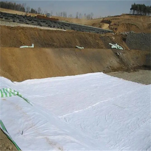 <span class=keywords><strong>HDPE</strong></span> 3D cao polyethylene thoát nước composite mặt đất <span class=keywords><strong>Net</strong></span> thoát nước geonet cho vườn thoát nước - Product Image 4