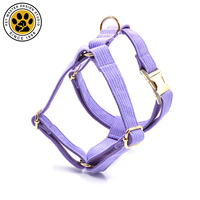 SinSky – harnais pour chien sans tirer, personnalisé, de haute qualité, au meilleur prix, harnais en velours côtelé, poitrine et dos pour chien