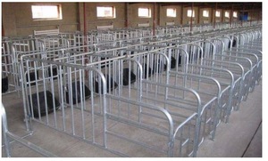 Gabbia <span class=keywords><strong>per</strong></span> Gestazione Suini, <span class=keywords><strong>Recinto</strong></span> <span class=keywords><strong>per</strong></span> Allevamento Suini - Product Image 5