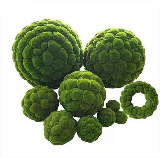 Vert clair