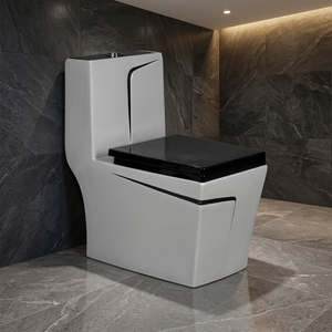 Série Décorative – WC monobloc en céramique indienne allongé avec chasse d'eau et siège bidet intégré - Product Image 4