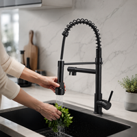 Keran Dapur Stainless Steel Modern Warna Hitam dan Tembaga, Model Tarik Turun dengan Pancuran Lengkung Tinggi dan Fungsi Ganda
