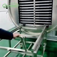 Machine de lyophilisation sous vide en acier inoxydable de qualité alimentaire 50 kg Lyophilisation commerciale