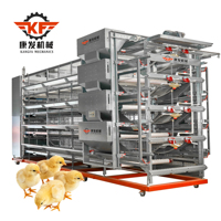 Équipement complet d'élevage avicole, système de cages pour poules pondeuses de type H