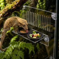 Plateau d'alimentation pour reptiles à ventouse suspendue, accessoires de décoration de terrarium, bol à nourriture et à eau pour serpent, araignée, caméléon, gecko