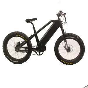 26英寸带5个内齿轮轮毂48v 1000w皮带驱动电动自行车带daul电池