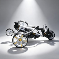 Voiturette de golf électrique et télécommandée, vitesse 8,0 km/h, pour la vente en magasin de golf, batterie acide ou batterie lithium en option