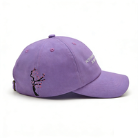 Gorra de Béisbol Unisex de Lona, 100% Algodón, 6 Paneles, con Logotipo Bordado en 3D Personalizado, Deportiva, Urbana, Ajustable, para las 4 Estaciones