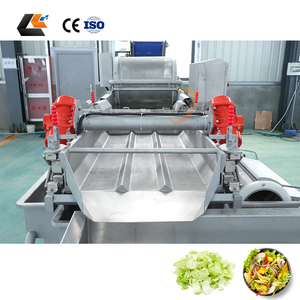 Laveuse de légumes à feuilles à prix d'usine, machine à laver les légumes, laveuse de salades à l'ozone, machine à laver le gingembre - Product Image 1