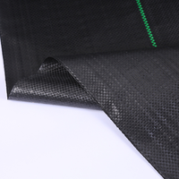 Traitement de protection UV géotextile Revêtement routier en géotextile tissé