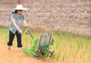 2-Hàng Có Thể Điều Chỉnh Khoảng Cách Hướng Dẫn Sử Dụng Tay Quay Quay Quay Lúa Cây Trồng Cây Máy Cho Lúa Lĩnh Vực Bước Xuống Cấy - Product Image 5