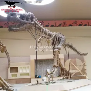 Bán Hot Jurassic khủng long thế giới thực tế khủng long hóa thạch kích thước lớn Tyrannosaurus Rex Skeleton
