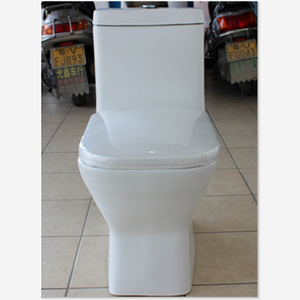 Sanitari in Ceramica, Produttore Cinese, WC Monoblocco con Scarico Sifonico - Product Image 2