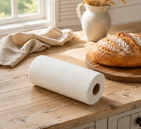 2-lagiges, weiches, saugfähiges, waschbares Küchenpapier aus reinem Zellstoff, umweltfreundlich, für die Reinigung, kernlose Rolle
