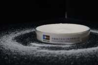 Vente directe d'usine de stéaroyl lactate de sodium (SSL) de qualité alimentaire, émulsifiant, pureté 99%, poudre blanche