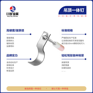 Clou intégré pour plafond métallique Dinglang, épaisseur 2 mm, type vis, pour la décoration de bâtiments - Product Image 3