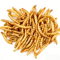 Vers de farine séchés 100% naturels, nourriture pour oiseaux, poissons, tortues