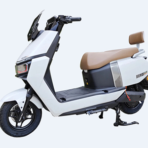 Motocicletta Elettrica Evride di Alta Gamma per Adulti, 72V, Velocità Massima 60km/h - Product Image 2